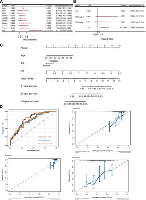 Construction of an immunogenic cell death-based risk score prognosis model in breast cancer